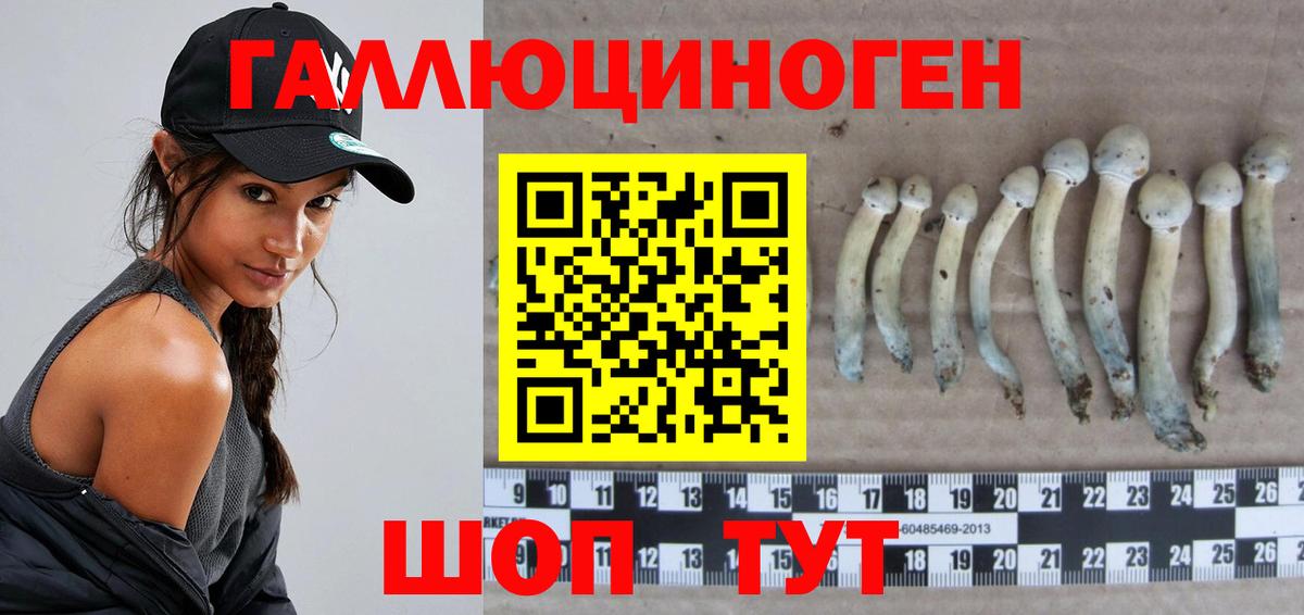 Галлюциногенные грибы Psilocybine cubensis Смоленск